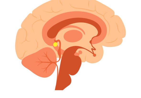 https://www.incabrain.com/brain-health/neuroinflammation-the-silent-brain-killer-and-how-to-cool-it-down/